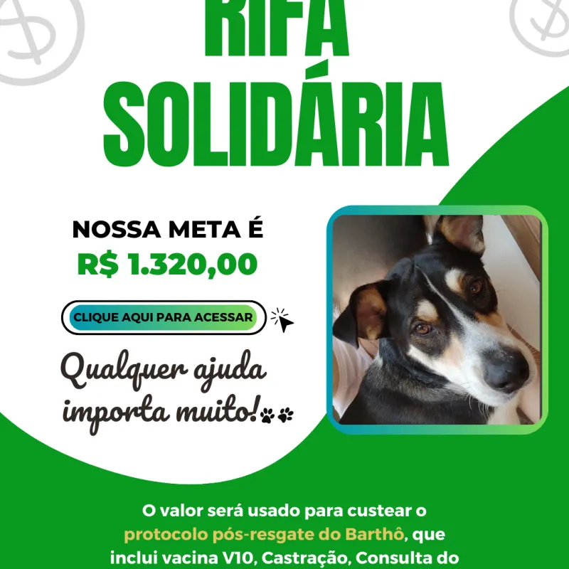 Imagem da campanha Pós-Resgate Barthô