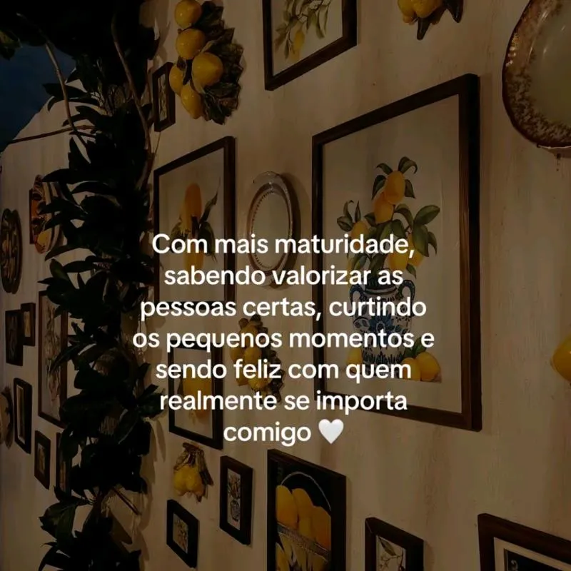 Imagem da campanha Stefani