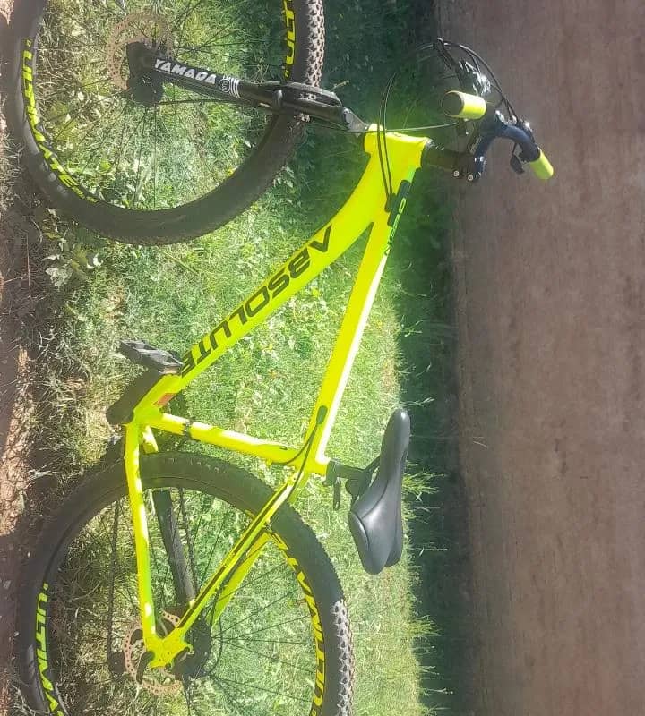 Imagem da campanha Bicicleta absolute