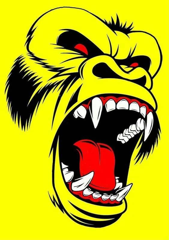 Imagem da campanha teste