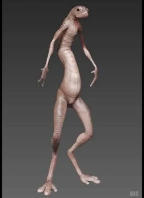 Imagem da campanha RIFA 1