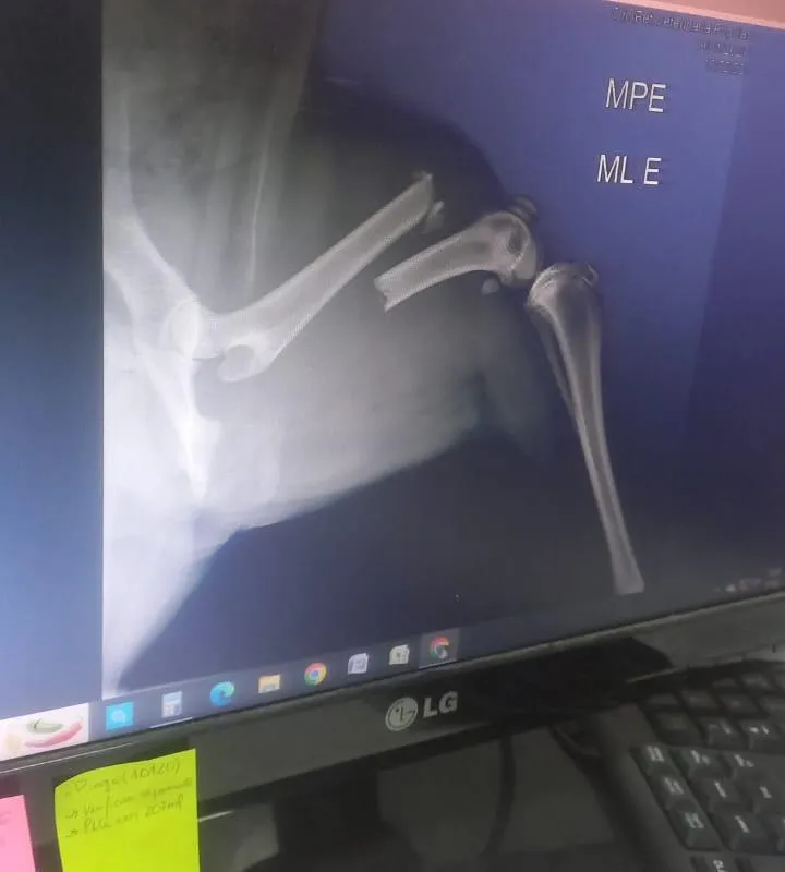 Imagem da campanha Ajude o Chico