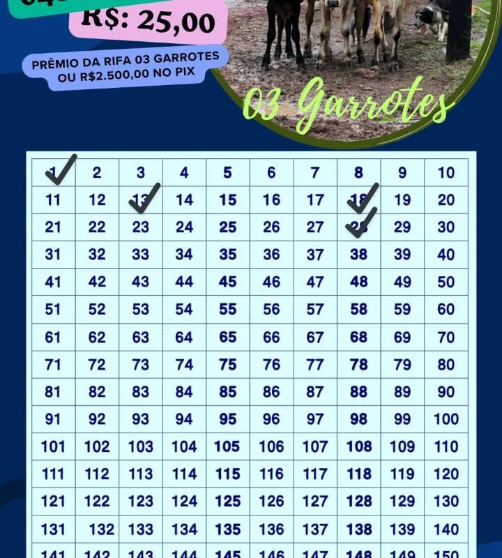 Imagem da campanha 03 garrotes