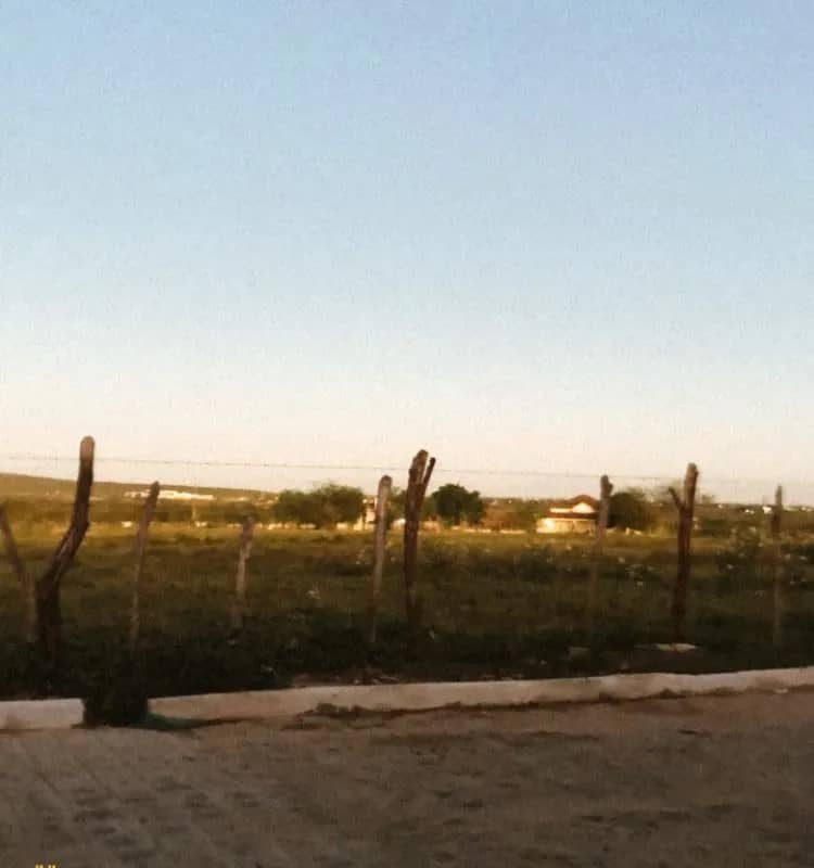 Imagem da campanha Oliveira