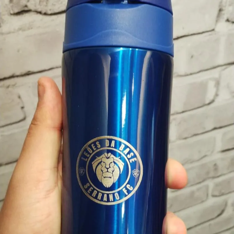 Imagem da campanha Rifa Leões da base