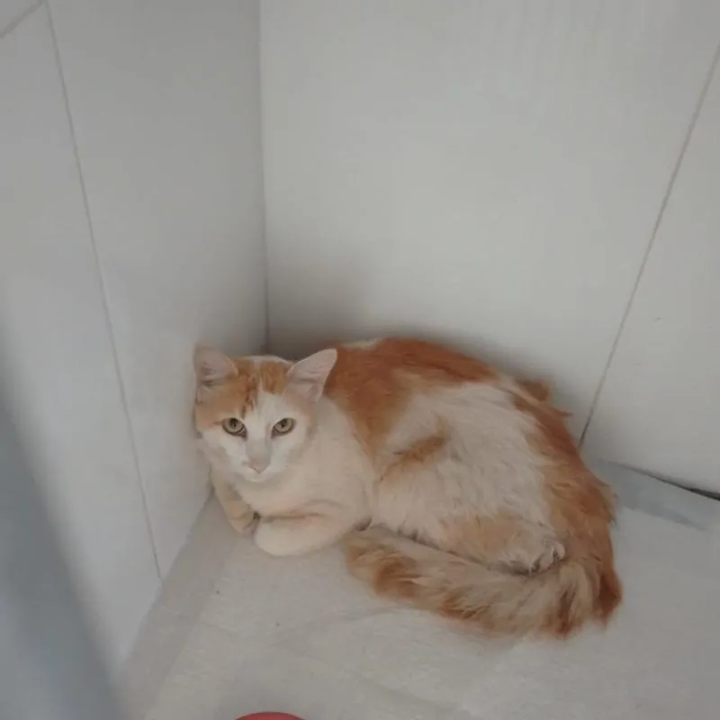 Imagem da campanha O Ganhador ganhará 250$ no pix!!