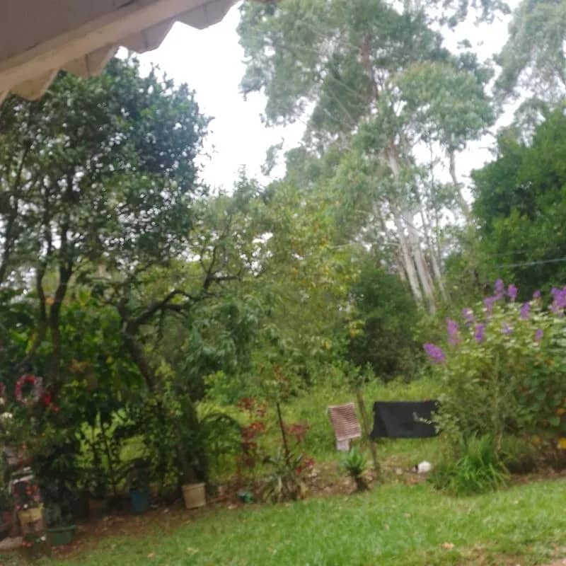 Imagem da campanha Campanha solidária