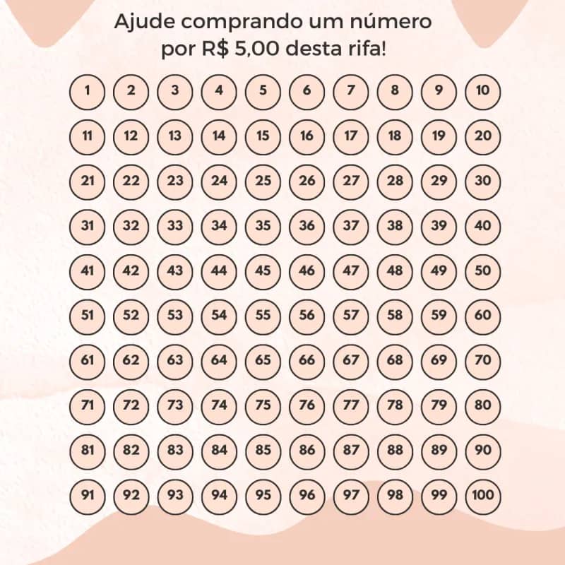 Imagem da campanha Rifa da lu