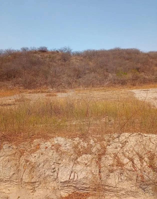 Imagem da campanha Valdirene