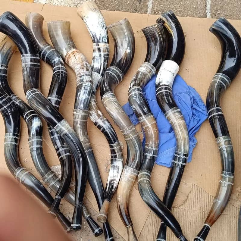 Imagem da campanha Berrante profissional