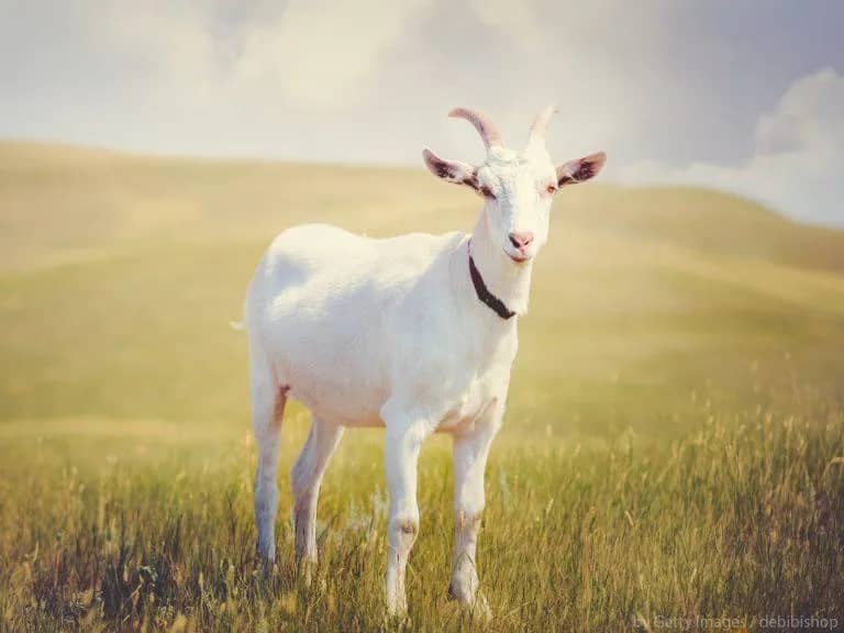 Imagem da campanha Para compra enxoval!!