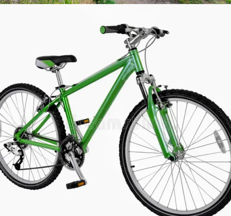 Imagem da campanha "Rifa da Esperança: Apoie a Carine e Concorra a uma Bicicleta!"