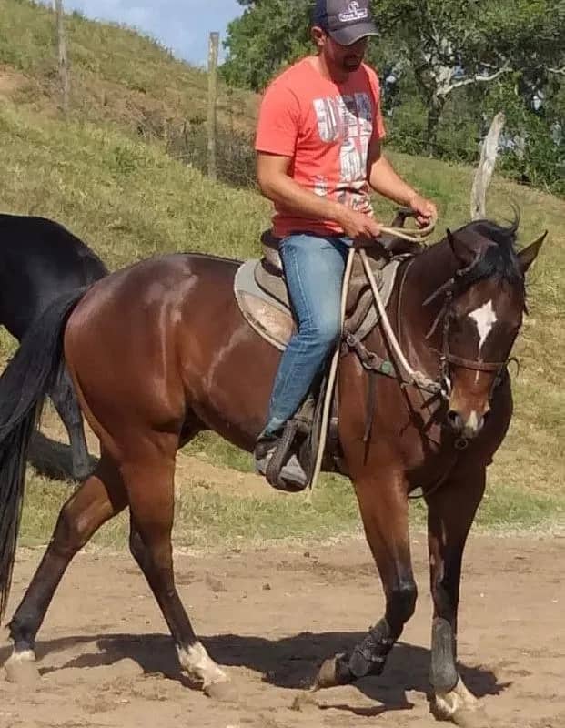 Imagem da campanha Átila Fit