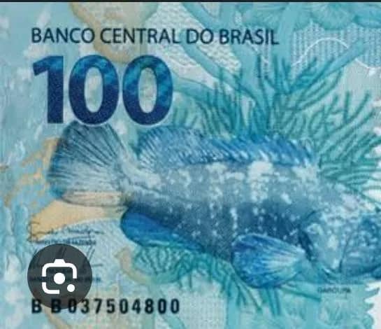 Imagem da campanha RIFA BARATINHA