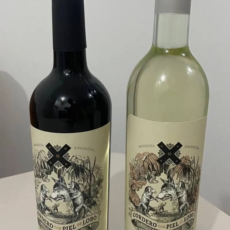 Imagem da campanha Bora voar