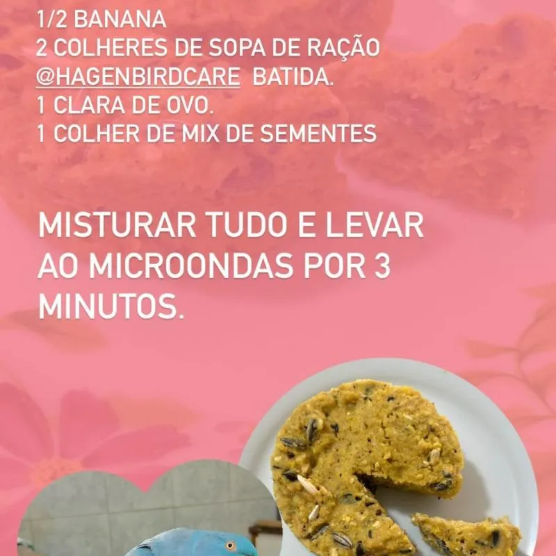 Imagem da campanha Viveiro