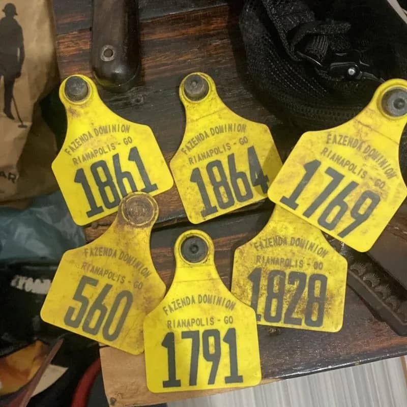 Imagem da campanha Primeiro