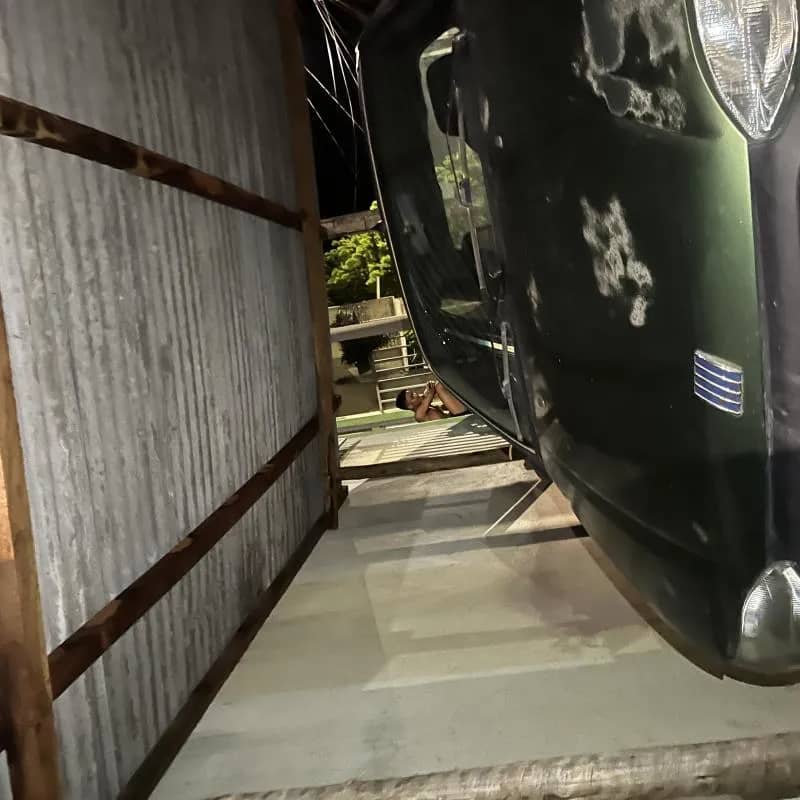 Imagem da campanha Palião verdão