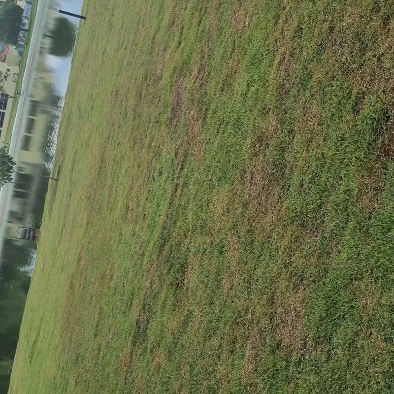 Imagem da campanha Ação