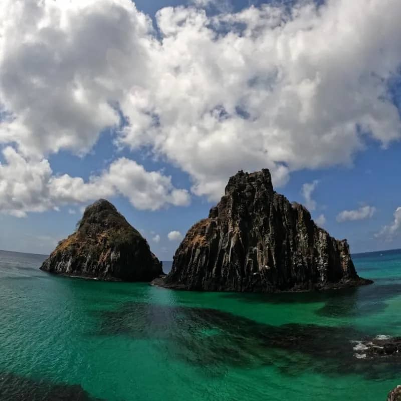 Imagem da campanha NORONHA2024