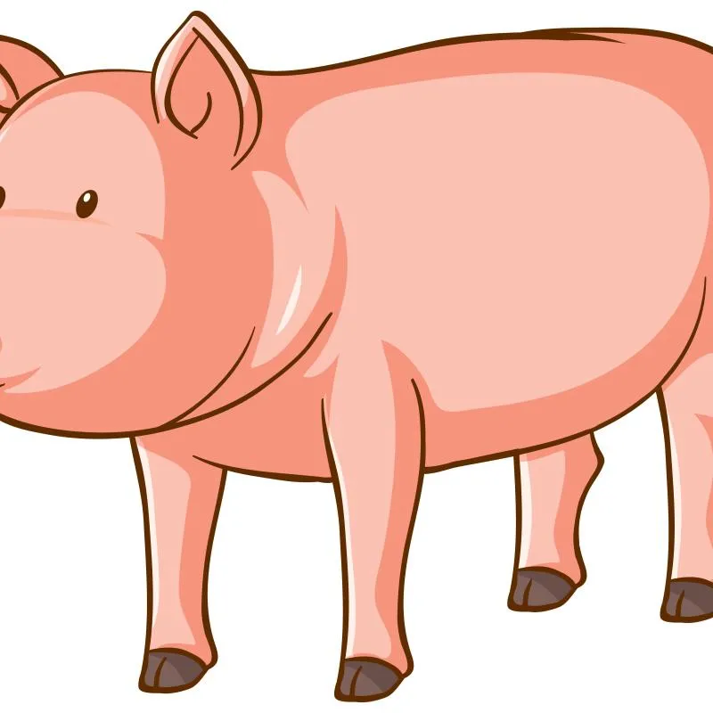 Imagem da campanha Ação Beneficente Pr. Sebastião