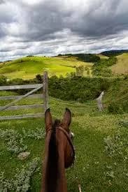 Imagem da campanha Sorteio para dividir a Fazenda Bela VISTA