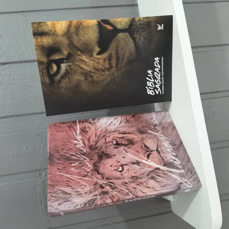 Imagem da campanha Bíblias Sagrada