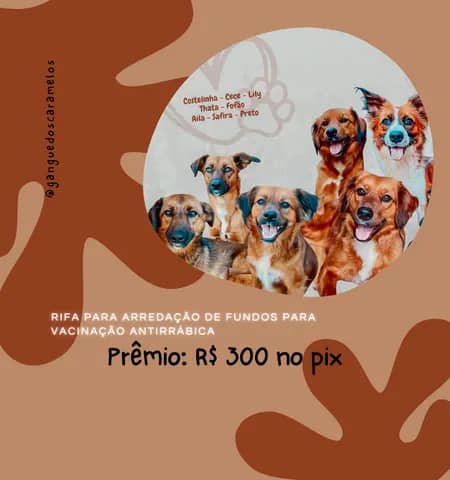Imagem da campanha RIFA VACINAÇÃO ANTIRRÁBICA DOS CARAMELOS