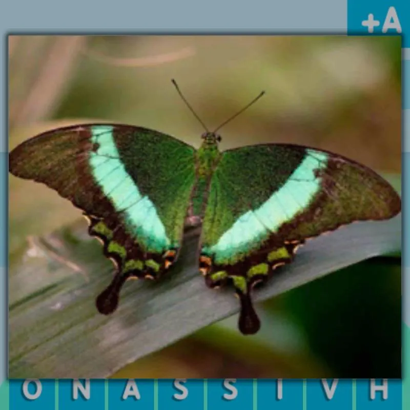 Imagem da campanha 3.000,00