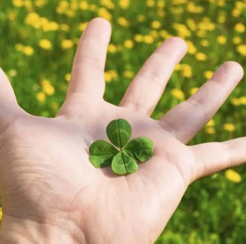 Imagem da campanha R$0,10 Para R$2,500