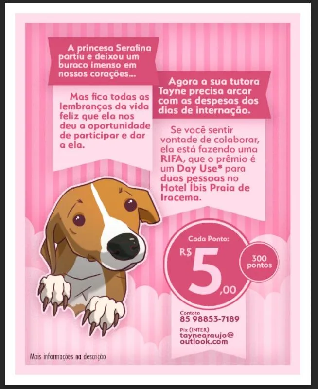 Imagem da campanha Internação da Serafina