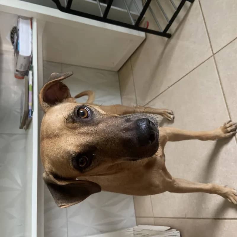 Imagem da campanha Teste