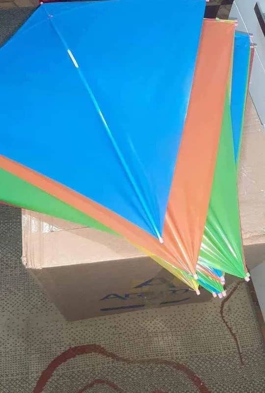 Imagem da campanha Pacote de 25 pipas de plastico 60cm X 60cm