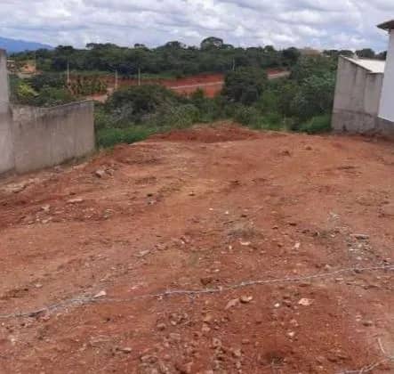 Imagem da campanha Ação entre amigos