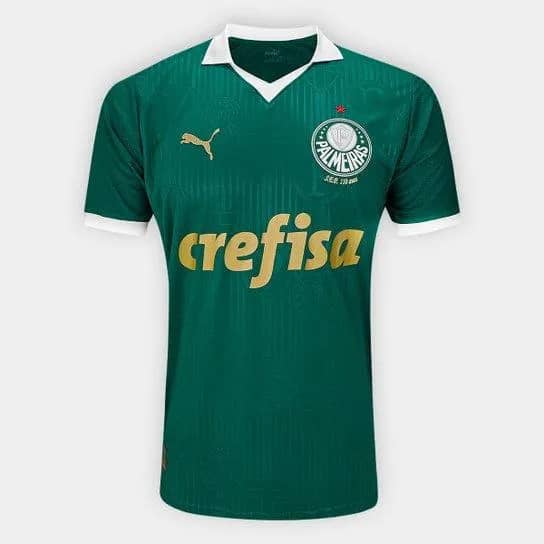 Imagem da campanha Camisa do Palmeiras 2024 ou $300 no pix.