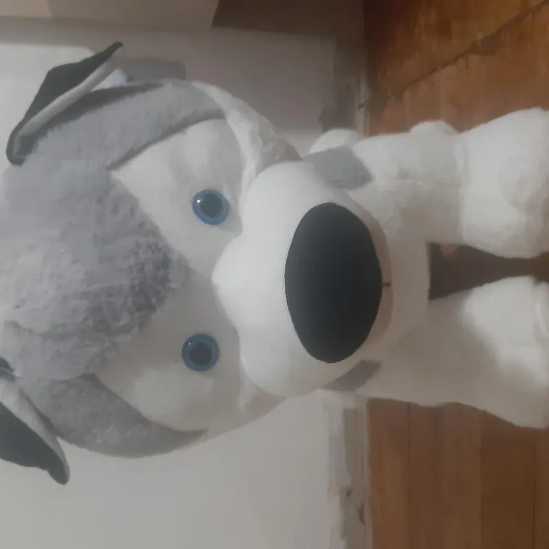 Imagem da campanha Cachorrão que emite som