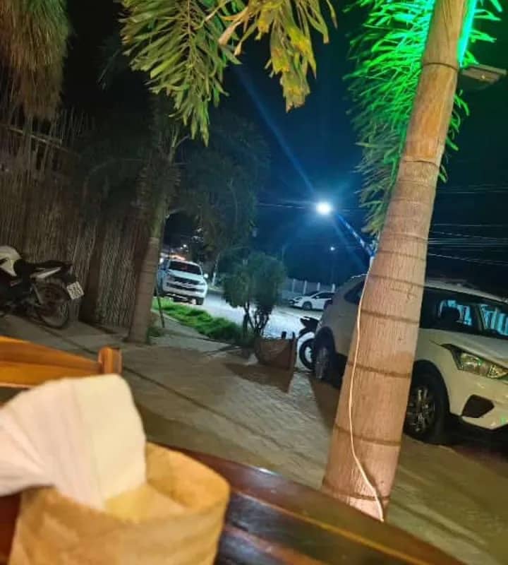 Imagem da campanha Lhasa apso