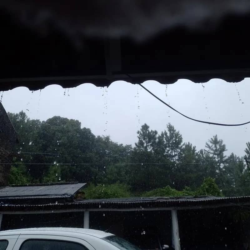 Imagem da campanha Rifa beneficente