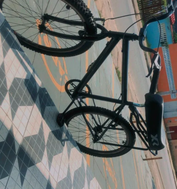 Imagem da campanha Bicicleta (Montadinha)