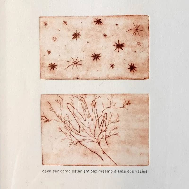 Imagem da campanha Rifa de gravura em metal, Natália Xavier