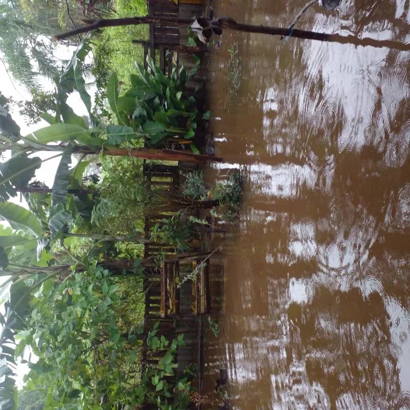 Imagem da campanha Rifa do Aterramento Kanarubu