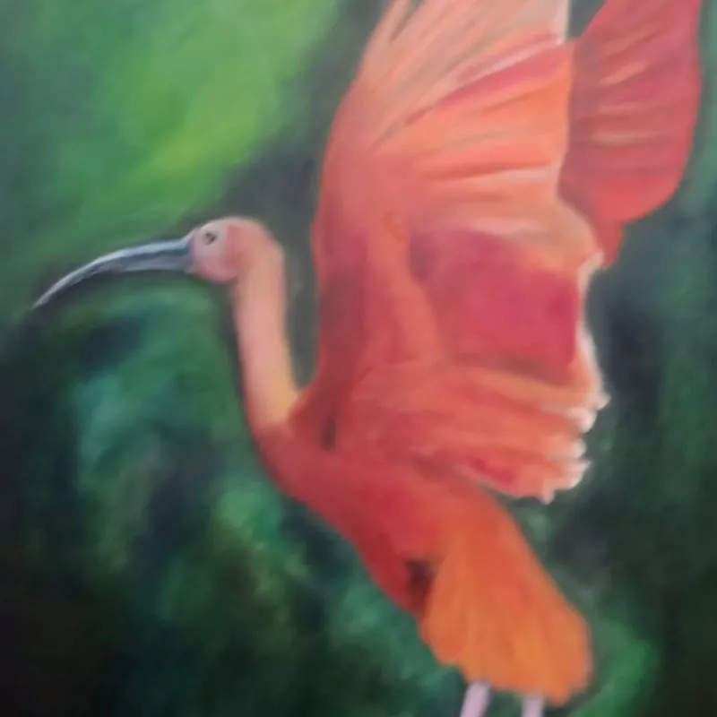 Imagem da campanha Guará Vermelho 1,30 X 0,60 m