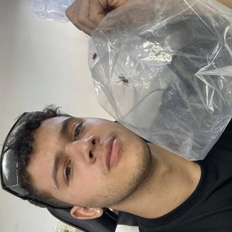 Imagem da campanha 3 moscas turbo 🪰