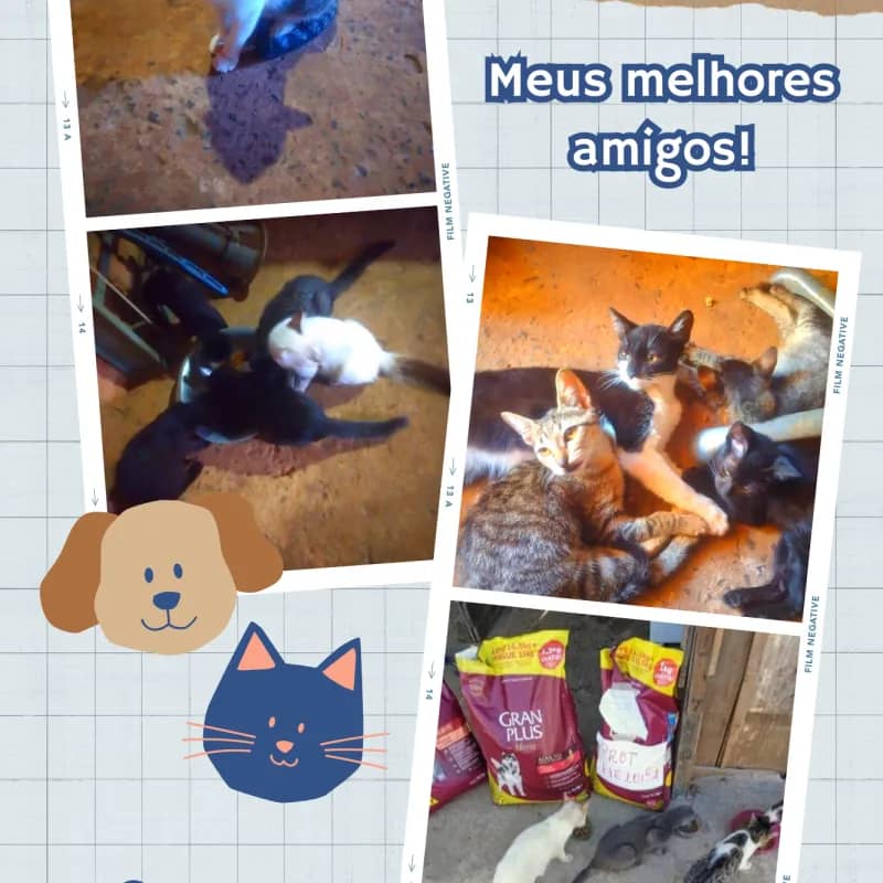 Imagem da campanha Ajude os animais da comunidade Homex