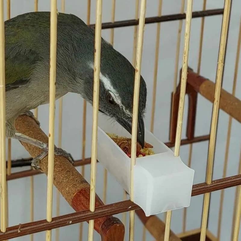 Imagem da campanha Trinca-Ferro Curricutil registrado