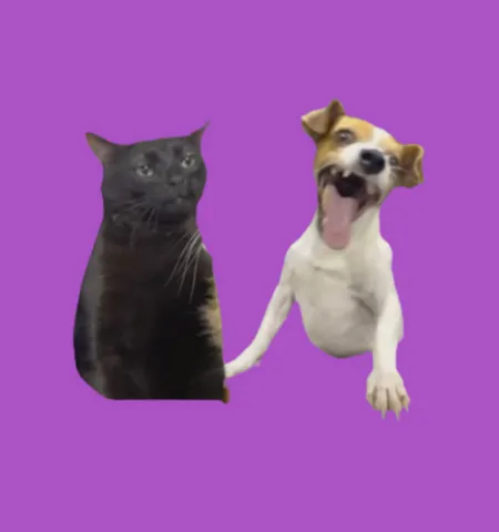 Imagem da campanha Rifa Videosmemeshumo