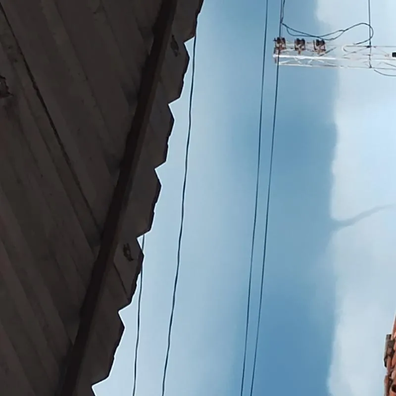 Imagem da campanha Rifa peixes e carnes