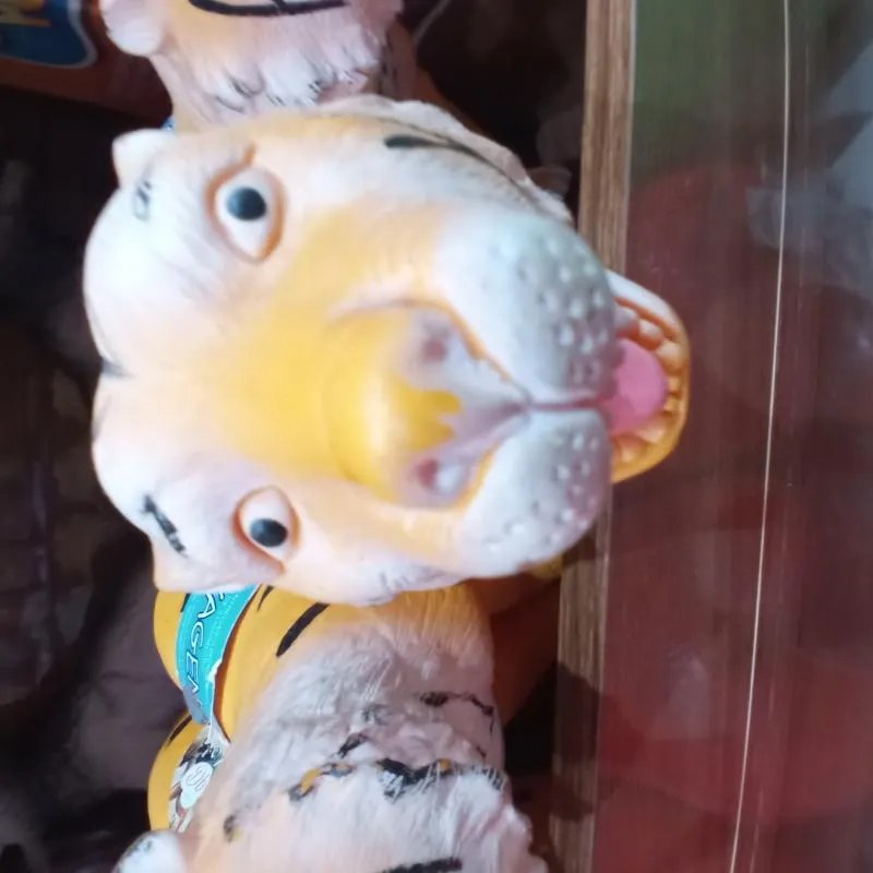 Imagem da campanha rifa