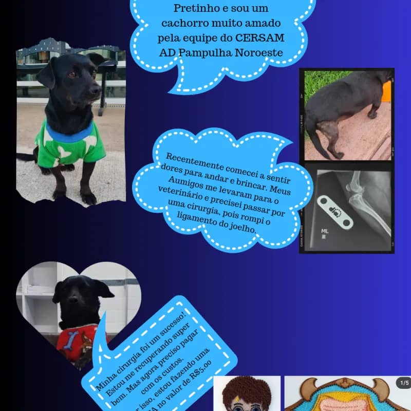 Imagem da campanha SOS PRETINHO