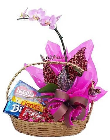 Imagem da campanha Arrecadação para formatura do 3° ano